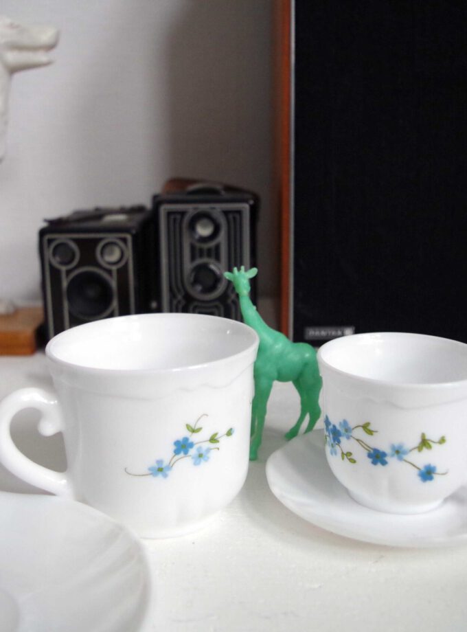 Arcopal Cup A Plate Veronica small