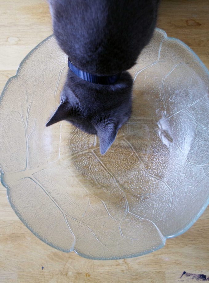 XL Punch Bowl Leaves Arcoroc Apen