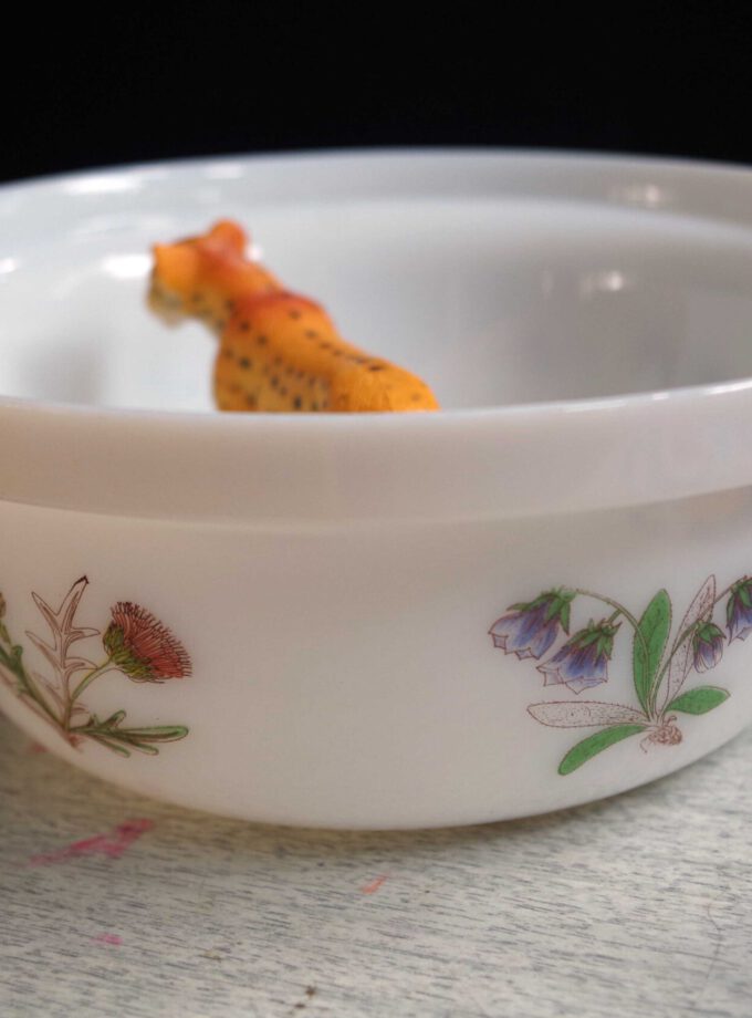 Floral Field Retro Bowl