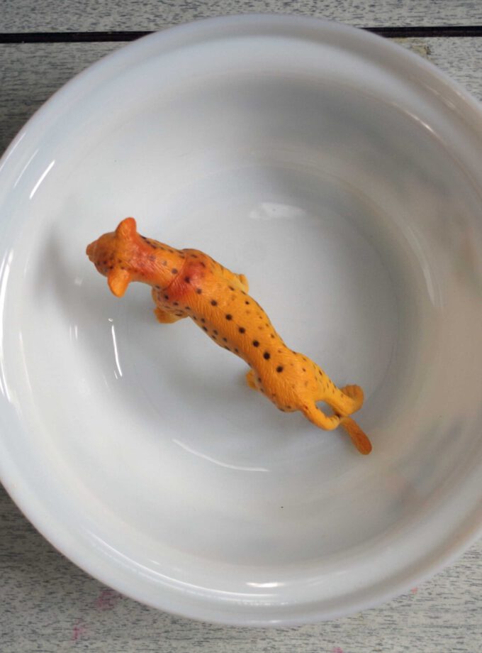 Floral Field Retro Bowl