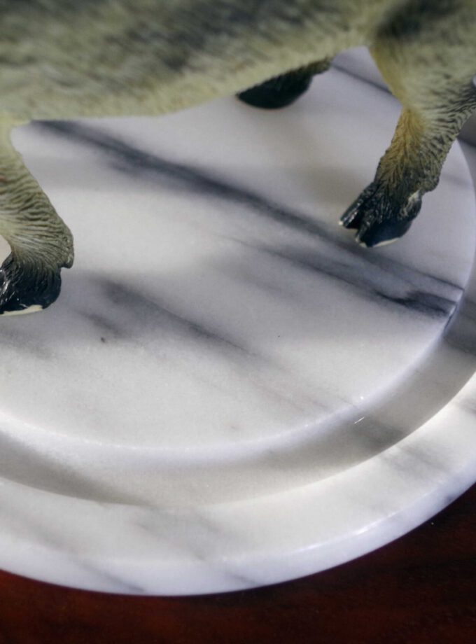 Marble Plateau Perfect