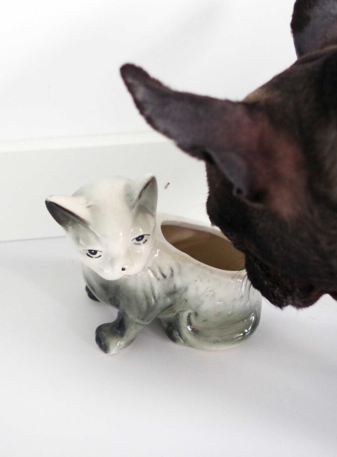 Vintage Coloured Cat Planter