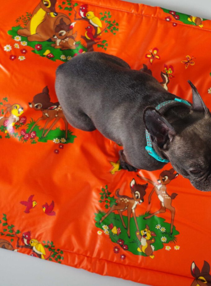 Box Blanket Disney Orange