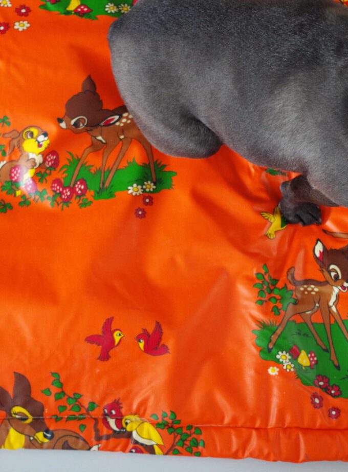 Box Blanket Disney Orange