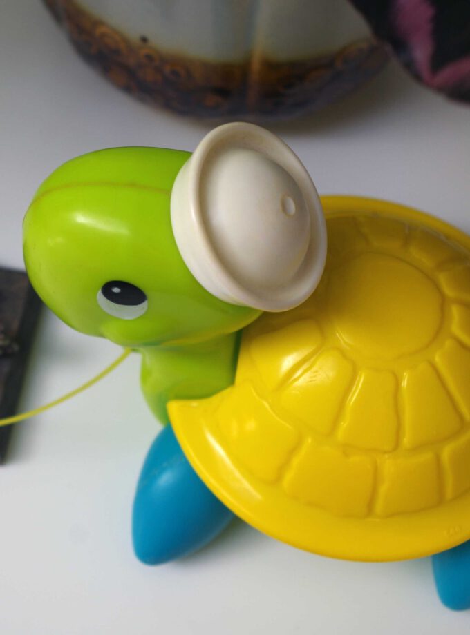 Fisher Price Turtle Blue