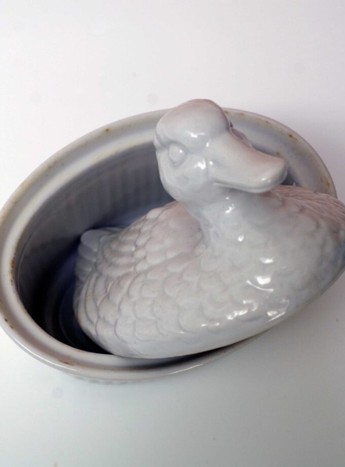Duck Duck Dish