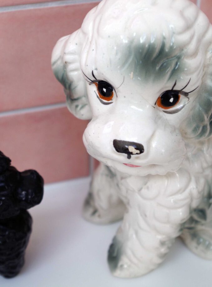 Vintage Coloured Poodle Planter
