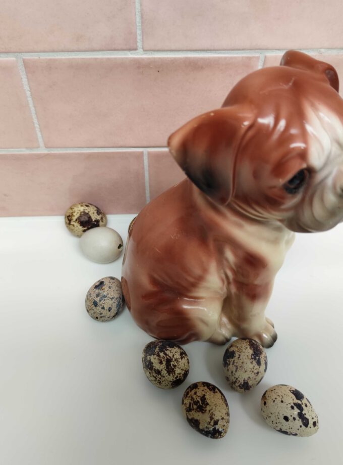 Vintage Coloured Dog