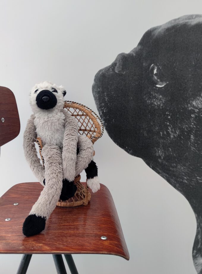 Peacock Chair Doll Small A