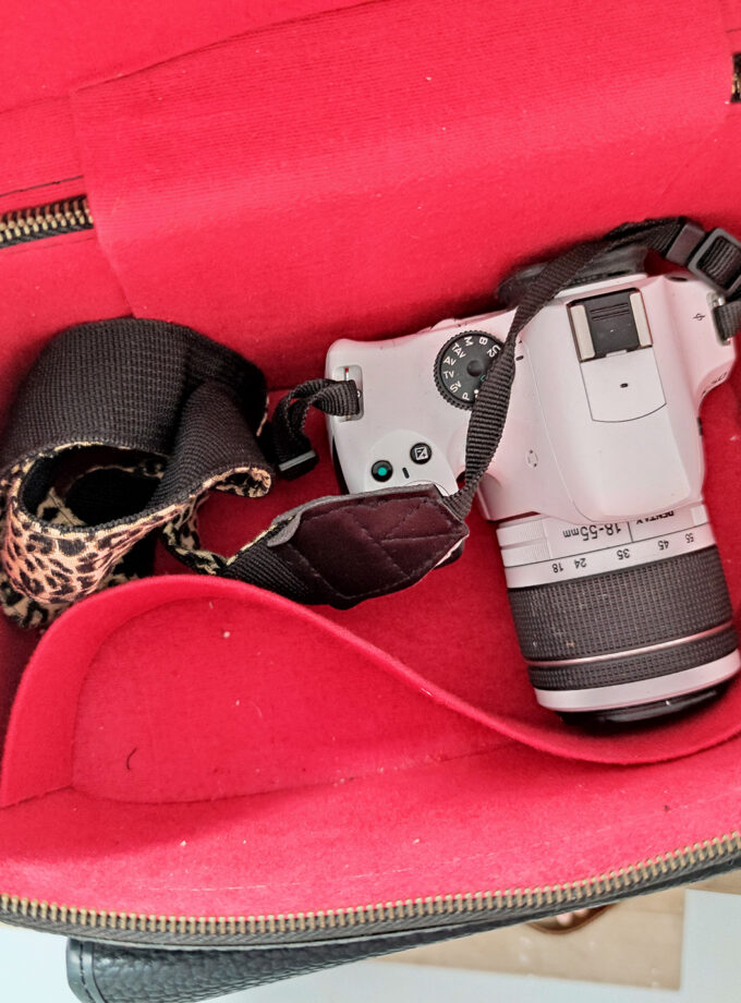 Vintage Old School Camera Bag