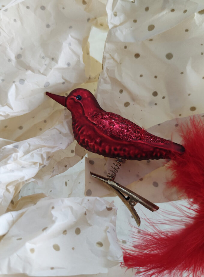 Red Bird Feather Tail