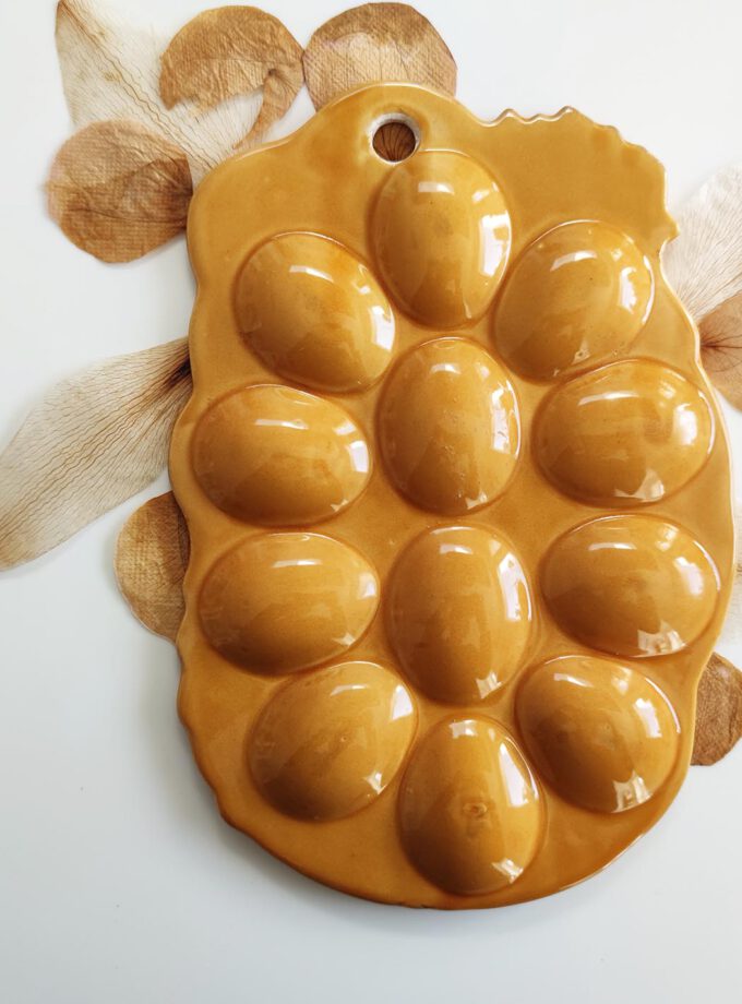 Egg Dish Chicken Eggs Ocher