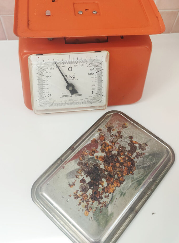 Orange Stube Kitchen Scale