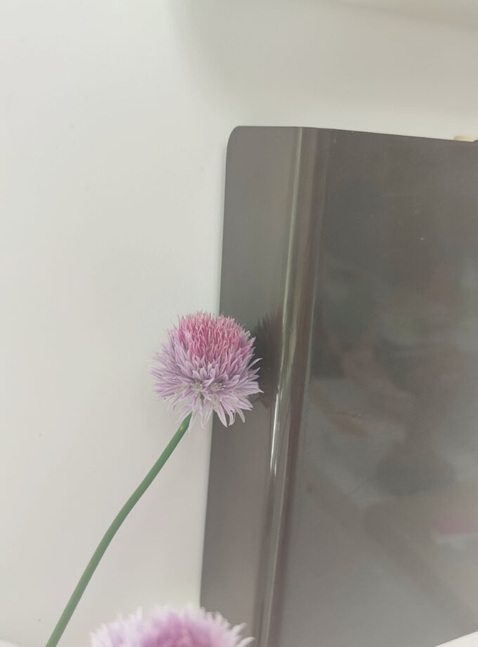 Brown Vintage HANSON Kitchen Scale