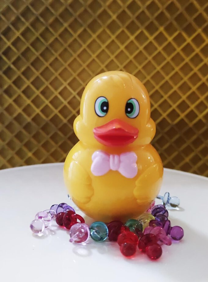 Vintage Rocker Ducky